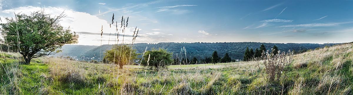 photo panoramique tourisme lorraine retouche montage photo