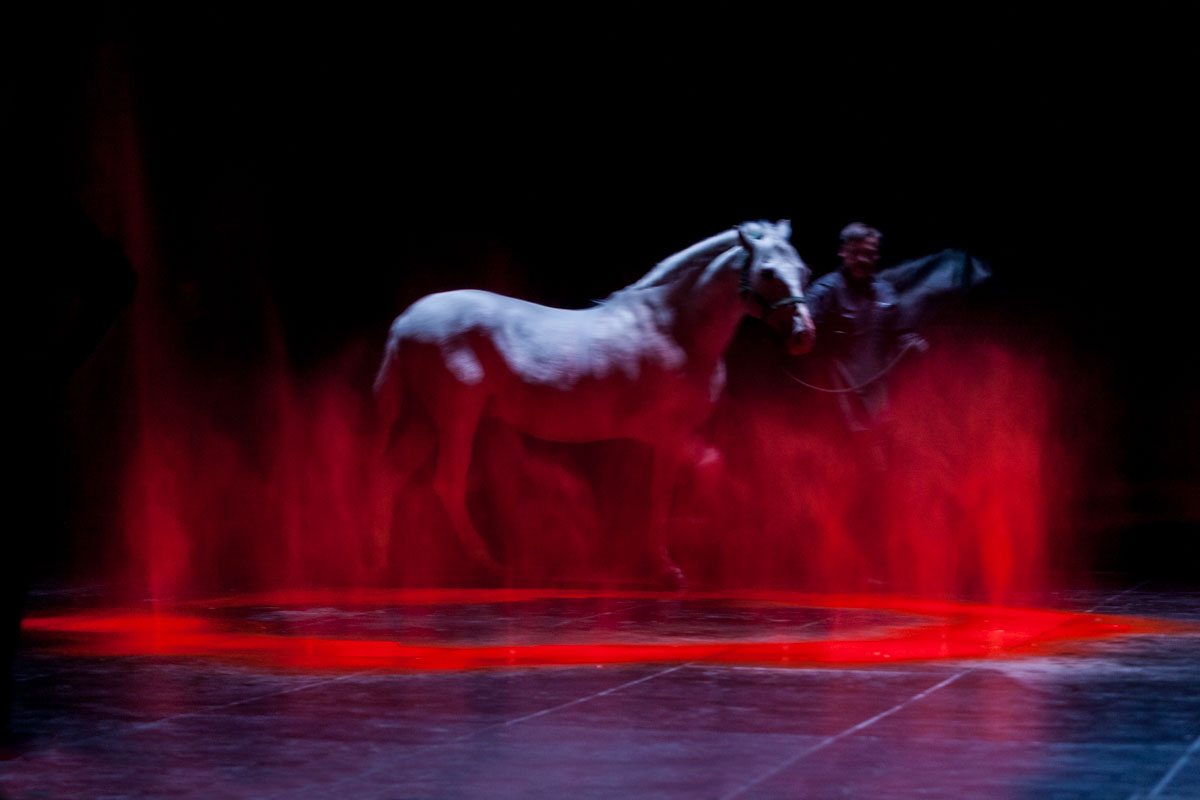 photo théâtre mise en scène castellucci inferno cheval